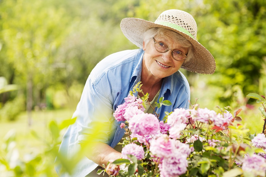 Health benefits of gardening for seniors