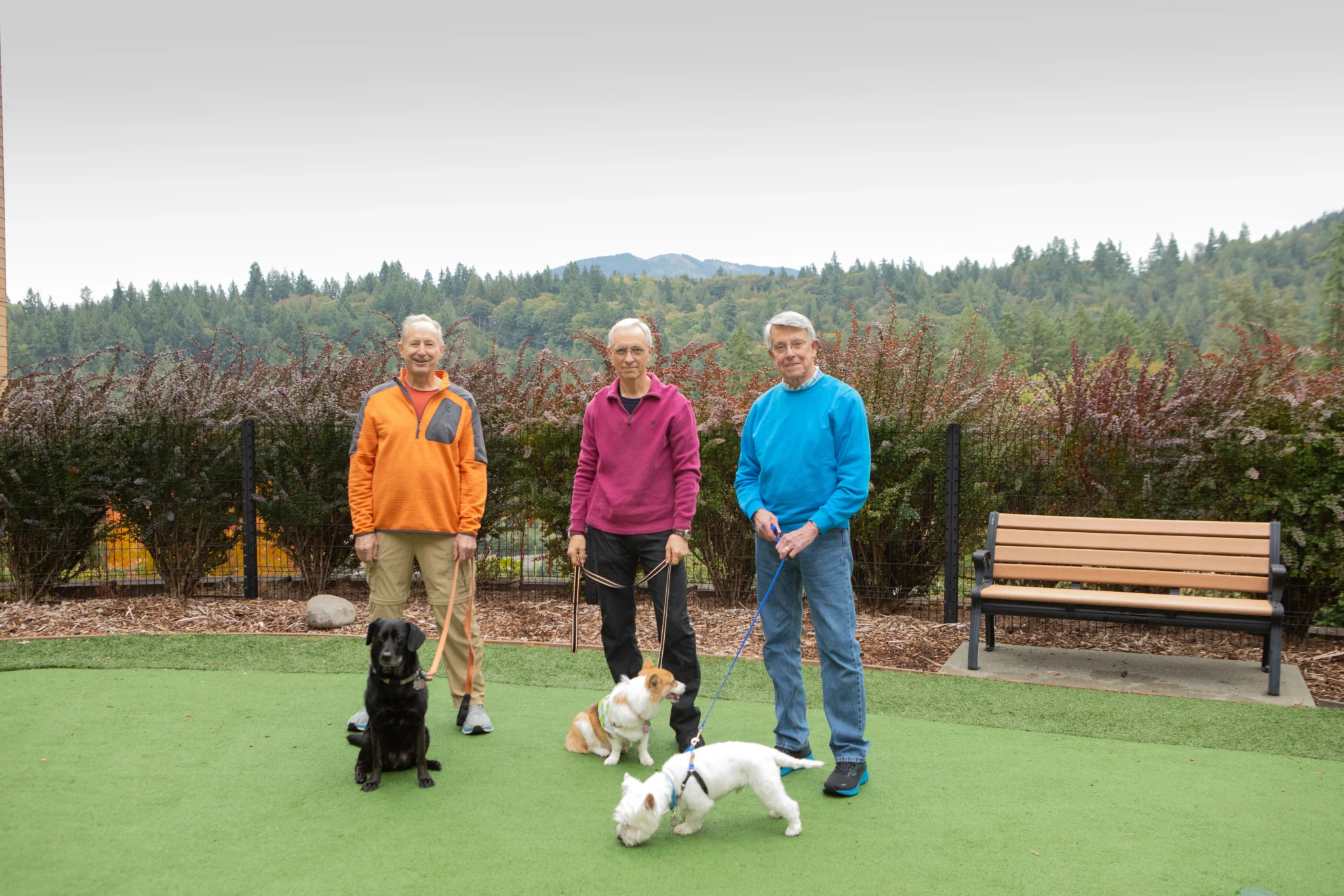 3 seniors at Timber Ridge at Talus with dogs exploring the luxury senior living amenities like a dog park
