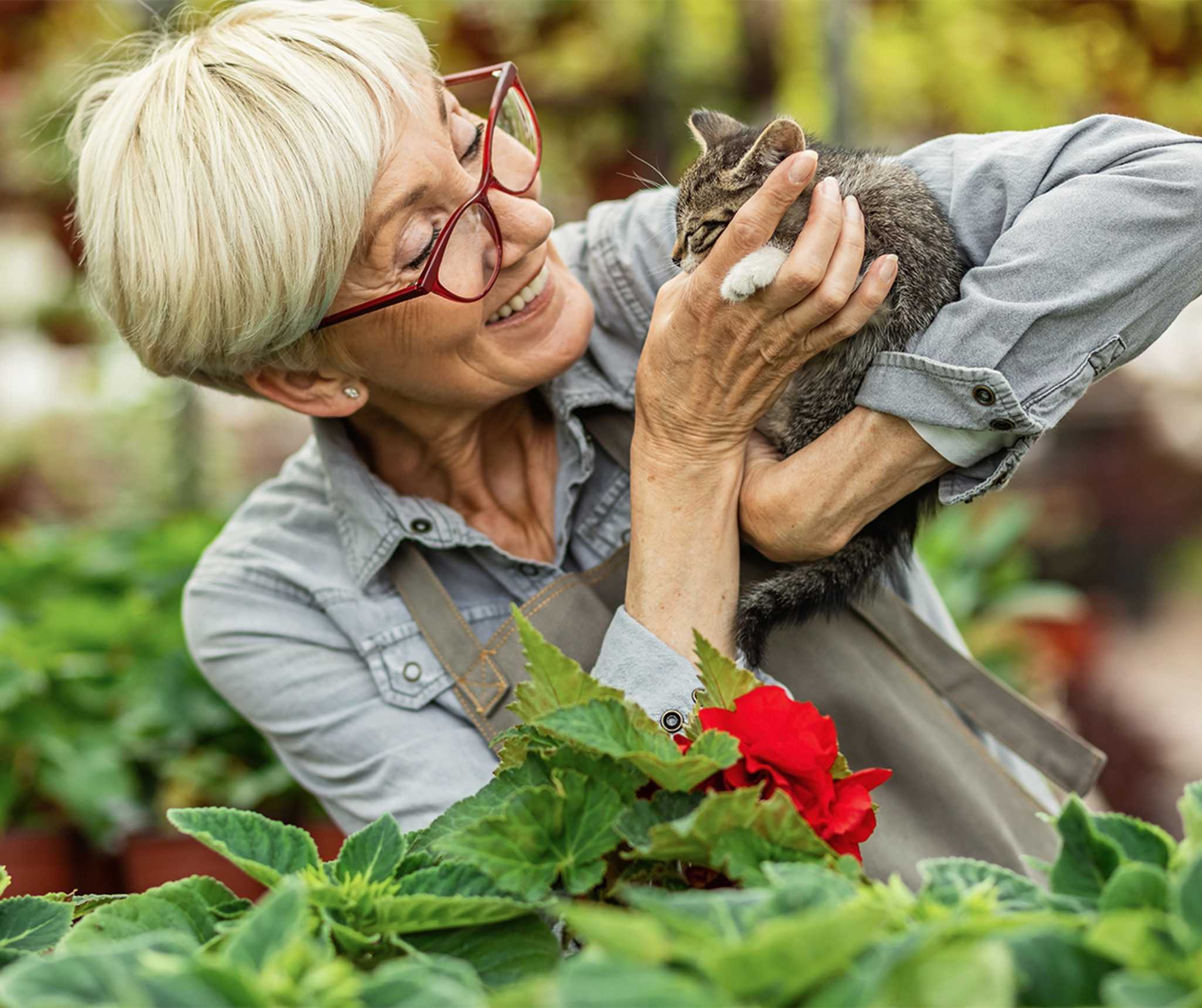 senior woman caresses a cat in her garden