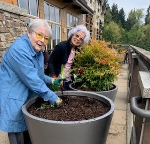 Senior women doing gardening